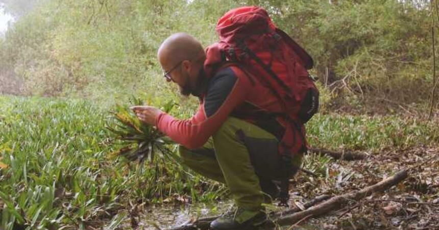 2. sezona serije Lovac na bilje od petka na TV