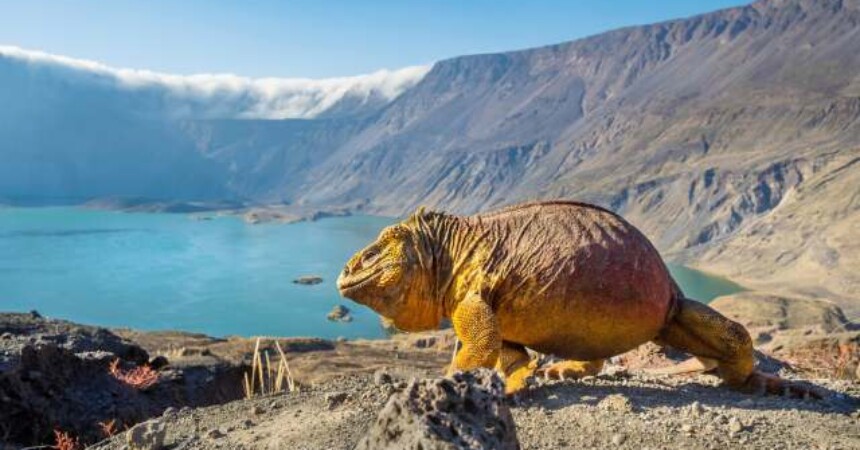 BBC-jeva dokumentarna serija Savršeni planet