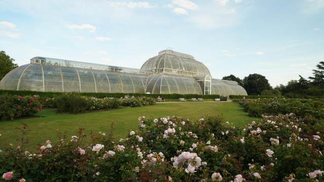 Kraljevski botanicki vrt