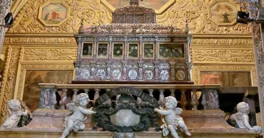 Dragan Nikolić: Od Dubrovnika do Goe